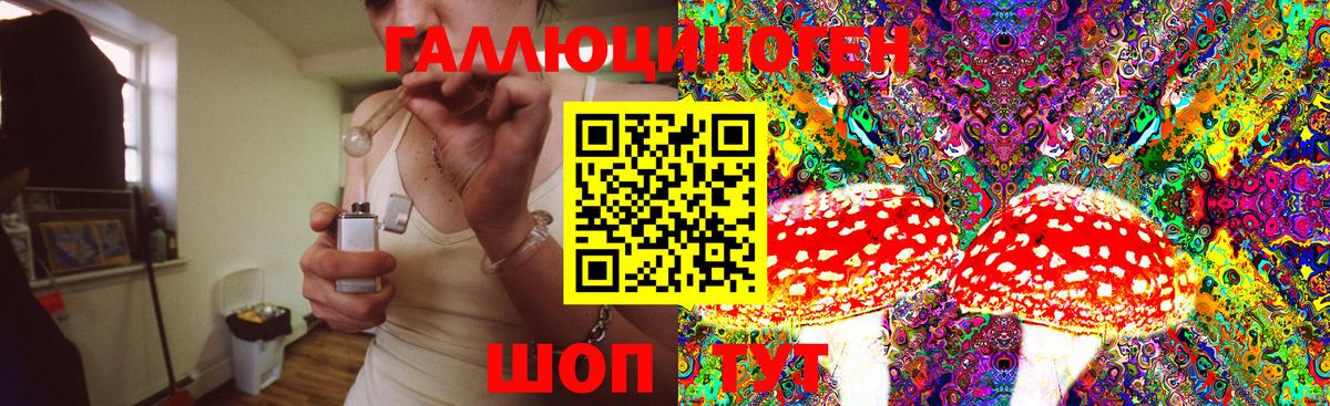 Псилоцибиновые грибы прущие грибы  Галлюциногенные грибы Magic Shrooms  Ахтубинск  Вход с VPN 