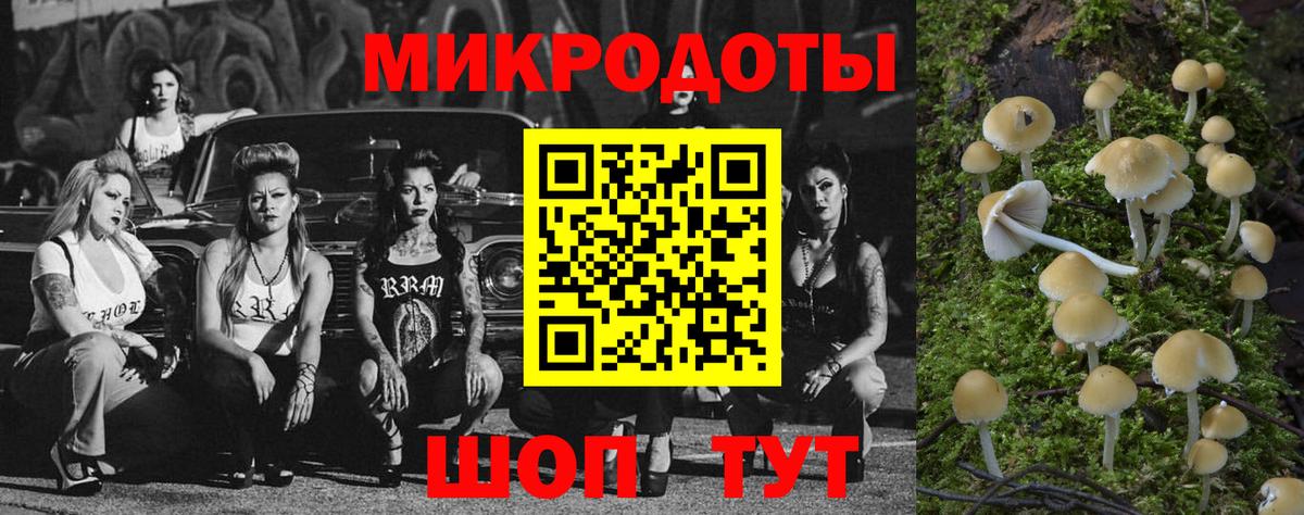 Галлюциногенные грибы мицелий Ахтубинск
